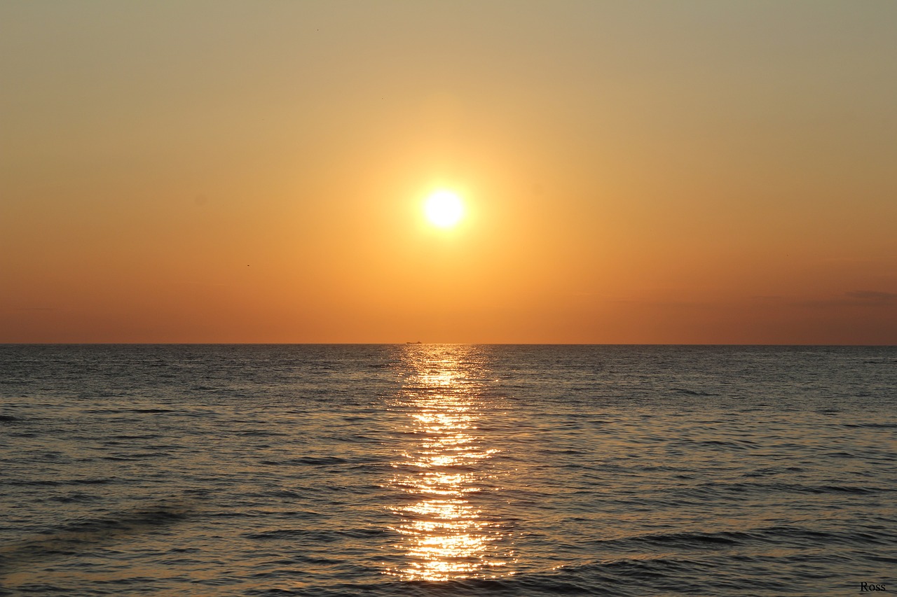 Exploring Ontological Arguments for God's Existence
